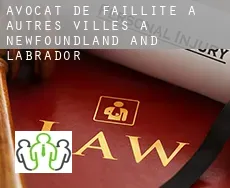 Avocat de faillite à  Autres Villes à Newfoundland and Labrador