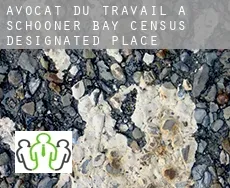 Avocat du travail à  Schooner Bay