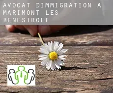 Avocat d'immigration à  Marimont-lès-Bénestroff