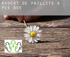 Avocat de faillite à  Pee Dee
