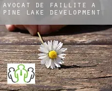 Avocat de faillite à  Pine Lake Development