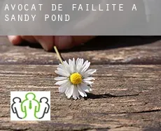Avocat de faillite à  Sandy Pond