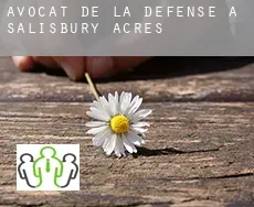 Avocat de la défense à  Salisbury Acres