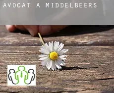 Avocat à  Middelbeers