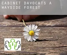 Cabinet d'avocats à Wayside Forest