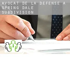 Avocat de la défense à  Spring Dale Subdivision