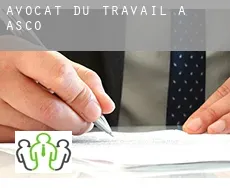 Avocat du travail à  Asco