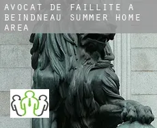 Avocat de faillite à  Beindneau Summer Home Area