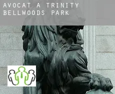 Avocat à  Trinity Bellwoods Park