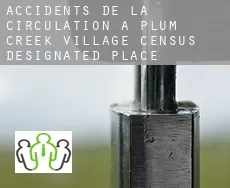 Accidents de la circulation à  Plum Creek Village