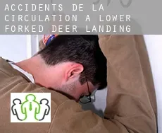 Accidents de la circulation à  Lower Forked Deer Landing
