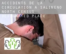 Accidents de la circulation à  Salineno North