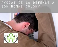 Avocat de la défense à  Bon Homme Colony