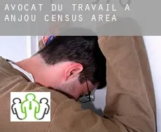 Avocat du travail à  Anjou (census area)