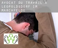 Avocat du travail à  Leopoldsdorf im Marchfelde