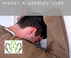 Avocat à  Georges Fork
