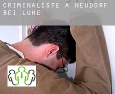 Criminaliste à  Neudorf bei Luhe