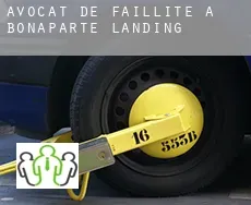Avocat de faillite à  Bonaparte Landing