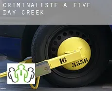 Criminaliste à  Five Day Creek