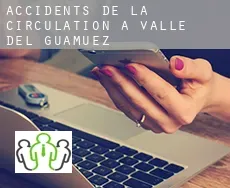 Accidents de la circulation à  Valle del Guamuez