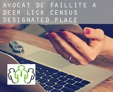 Avocat de faillite à  Deer Lick