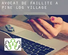 Avocat de faillite à Pine Log Village