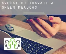 Avocat du travail à  Green Meadows