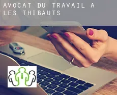 Avocat du travail à  Les Thibauts