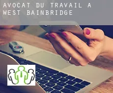 Avocat du travail à  West Bainbridge