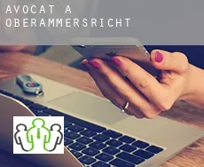 Avocat à  Oberammersricht