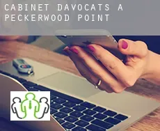 Cabinet d'avocats à  Peckerwood Point