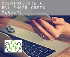 Criminaliste à  Ballenger Creek Meadows