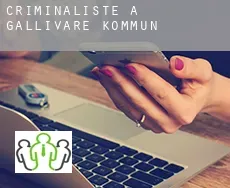 Criminaliste à Gällivare Kommun