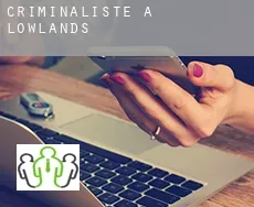 Criminaliste à  Lowlands