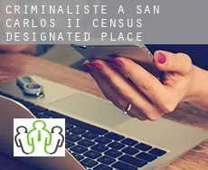Criminaliste à  San Carlos II