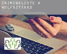 Criminaliste à  Wolfsittard