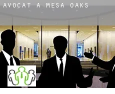 Avocat à  Mesa Oaks