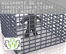 Accidents de la circulation à  Cedar Forest Acres