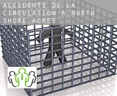 Accidents de la circulation à  North Shore Acres