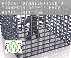 Avocat d'immigration à  Thompson Draw Summer Homes Unit One