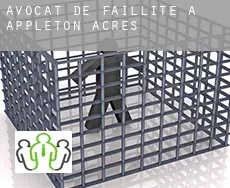 Avocat de faillite à  Appleton Acres