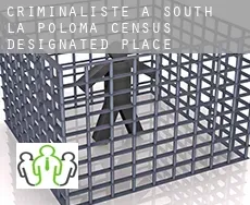 Criminaliste à South La Poloma