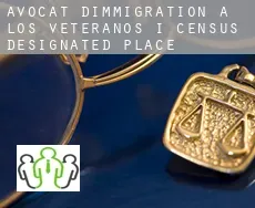 Avocat d'immigration à  Los Veteranos I