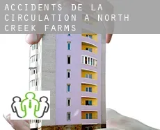 Accidents de la circulation à  North Creek Farms