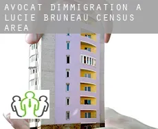 Avocat d'immigration à  Lucie-Bruneau (census area)