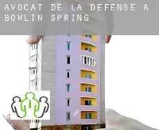 Avocat de la défense à  Bowlin Spring