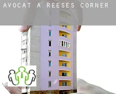 Avocat à  Reeses Corner