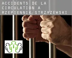 Accidents de la circulation à  Rzepiennik Strzyżewski