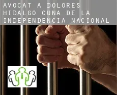 Avocat à  Dolores Hidalgo Cuna de la Independencia Nacional
