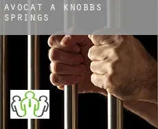 Avocat à Knobbs Springs